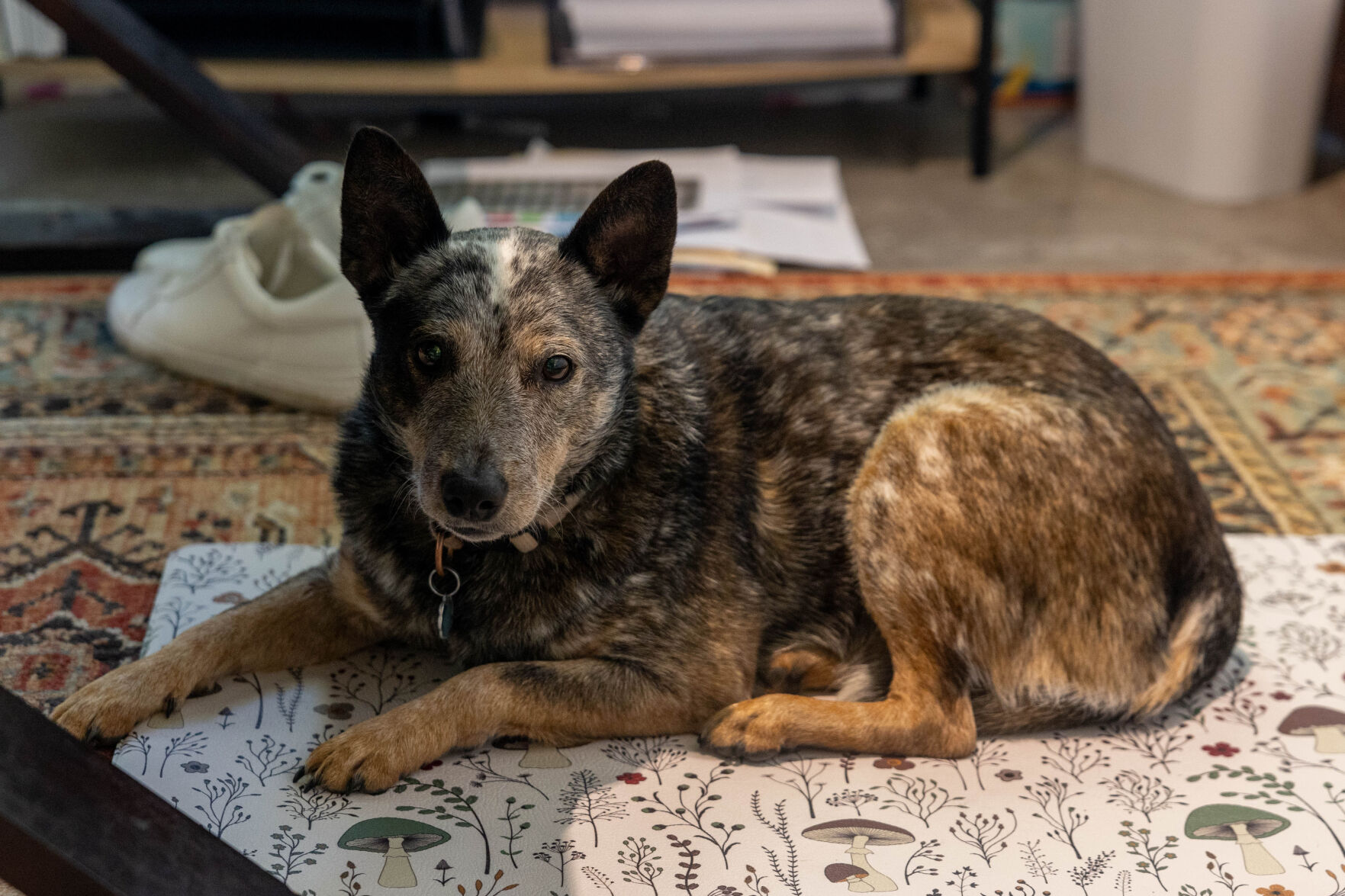 Riverbend Arts District